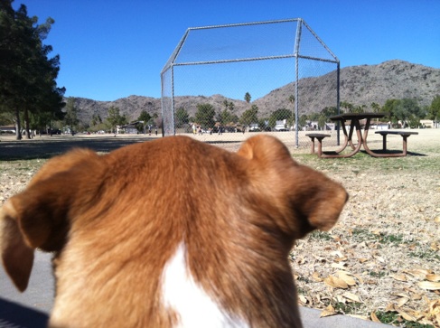 Sunny lookin' at the hotties.