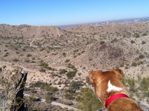 So scenic, right, Sunny!?