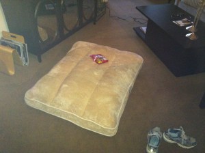 Repeat after me- "Sunny gets what Sunny wants."