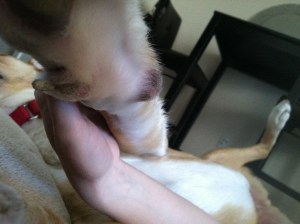 Don't mind me, Sunny! Just make yourself comfortable!