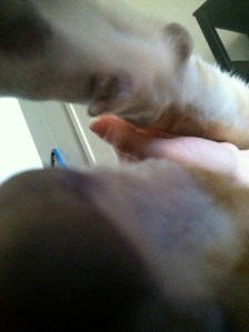 Ow, Sunny. Warn me next time!