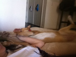 "I'm dreaming I'm Usain Bolt!!"