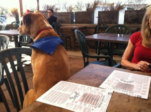 "Um, HELLO, waiter! Over here! I want a turkey sandwich, please!!"