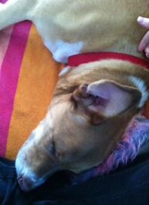 Do you like my rainbow fuzzy slippers?  I'm sitting Indian style.