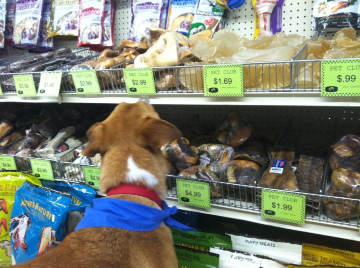 "Ohhh that's looks yummy!"