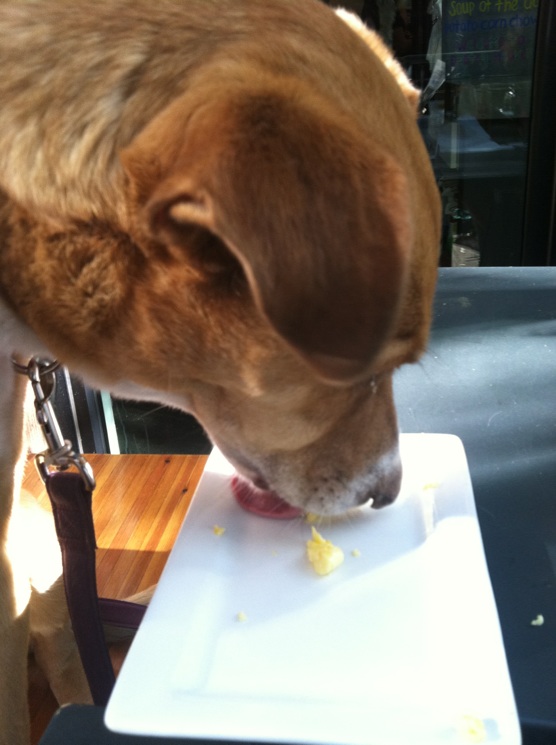 "Gotta lick my plate clean!"