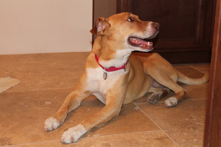 Watching Cherie cook in the kitchen.