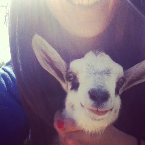 I am 99% sure that Sweet Pea smiled for this photo.