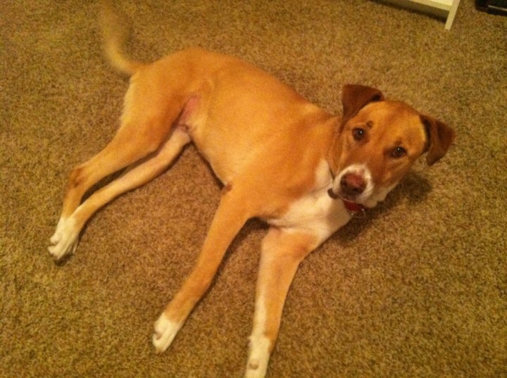 "Hey Sunny, do you want ot help with taxes?"