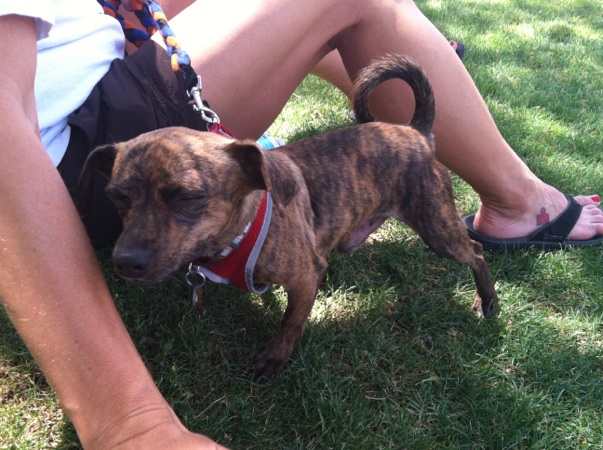 Isaac weights 6 pounds & was also quite drowsy that morning haha