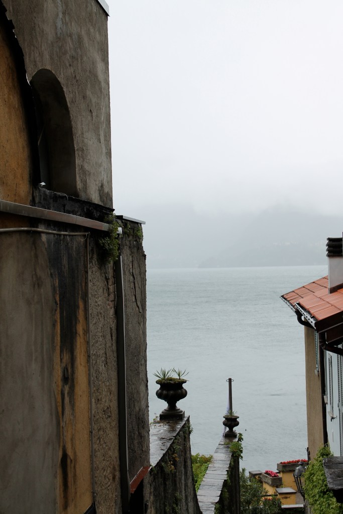 One of many "it would have been gorgeous if we could see across the lake" pictures